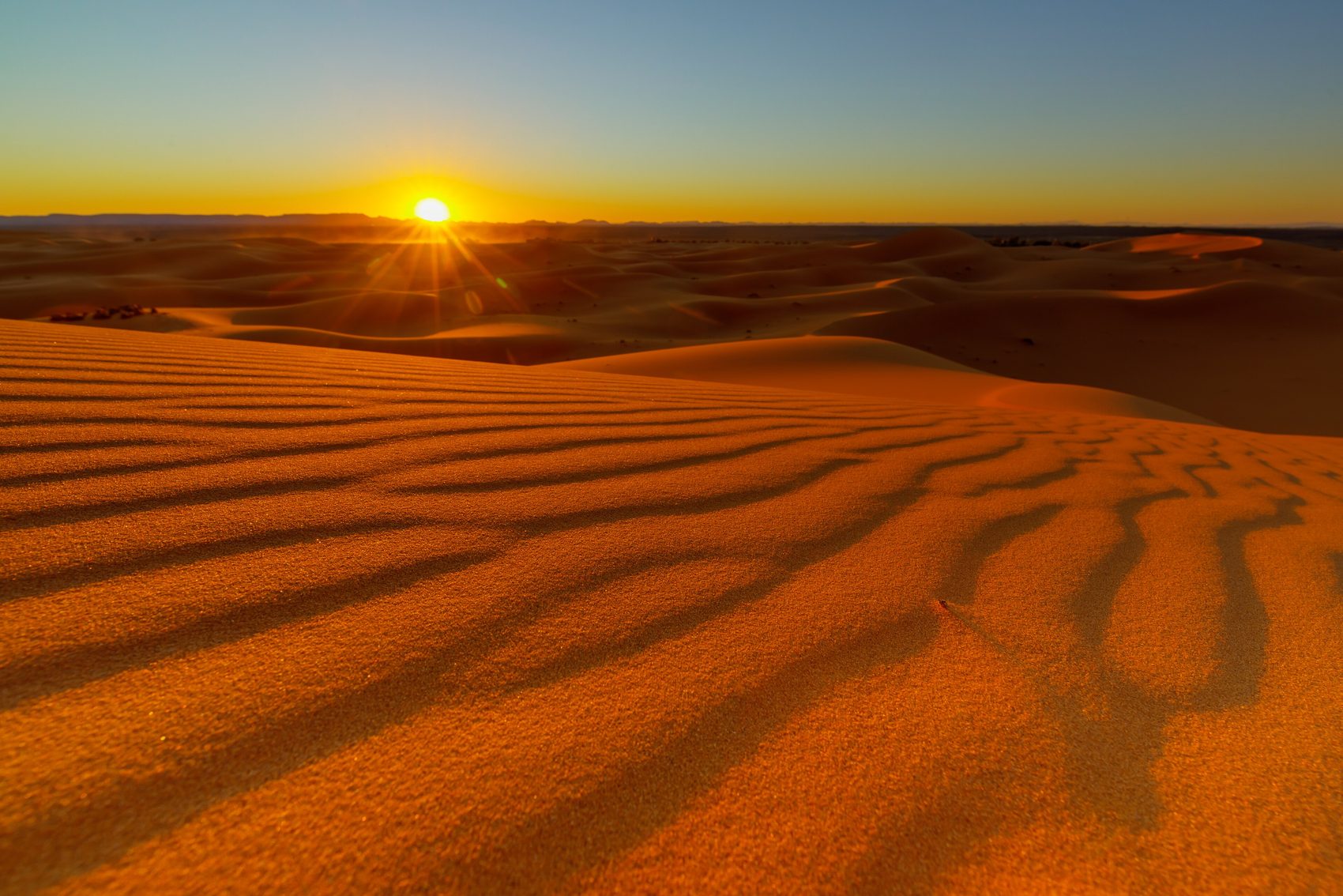 Sunrise over the Sahara dunes